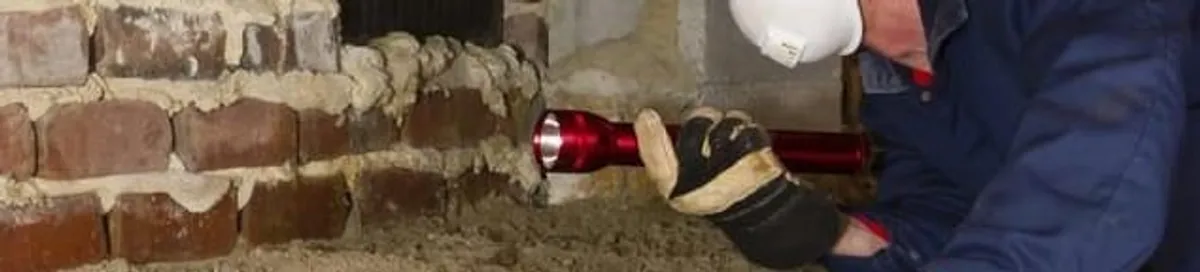 Pest control technician inspecting a crawl space for ant activity and entry points in Newark, NJ