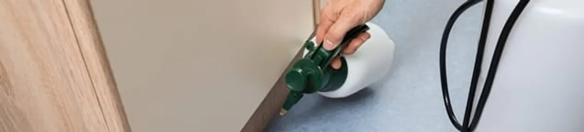 Bed bug exterminator treating baseboards and cracks with targeted spray in Newark, NJ