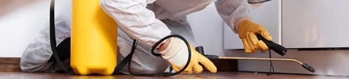 Roach exterminator treating cracks and crevices along kitchen baseboards in Newark, NJ