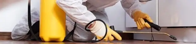 Roach exterminator treating cracks and crevices along kitchen baseboards in Newark, NJ