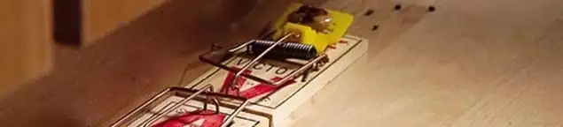 Rodent trap set indoors for rodent control and prevention in Newark, NJ